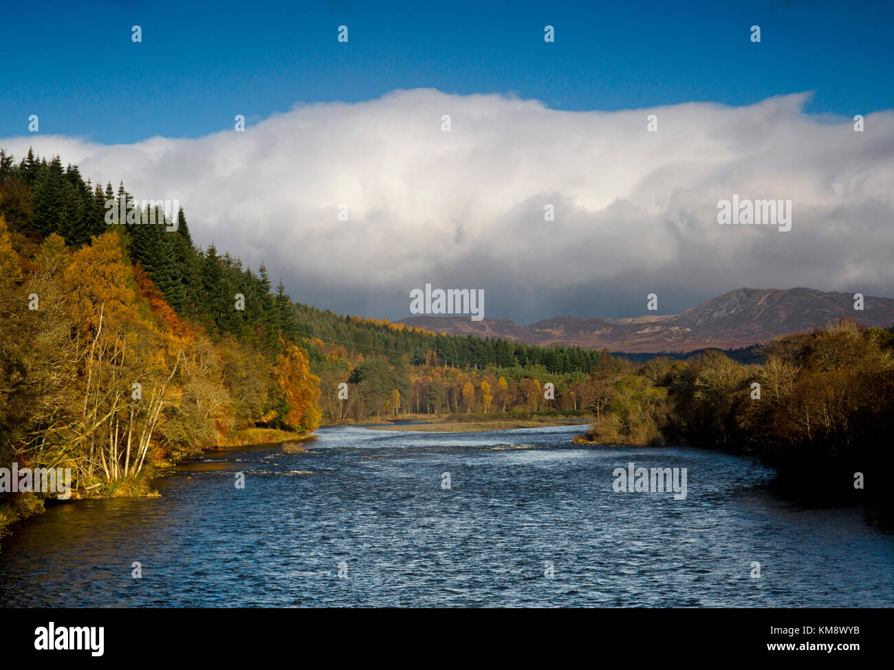 River tay hires stock photography and images Alamy