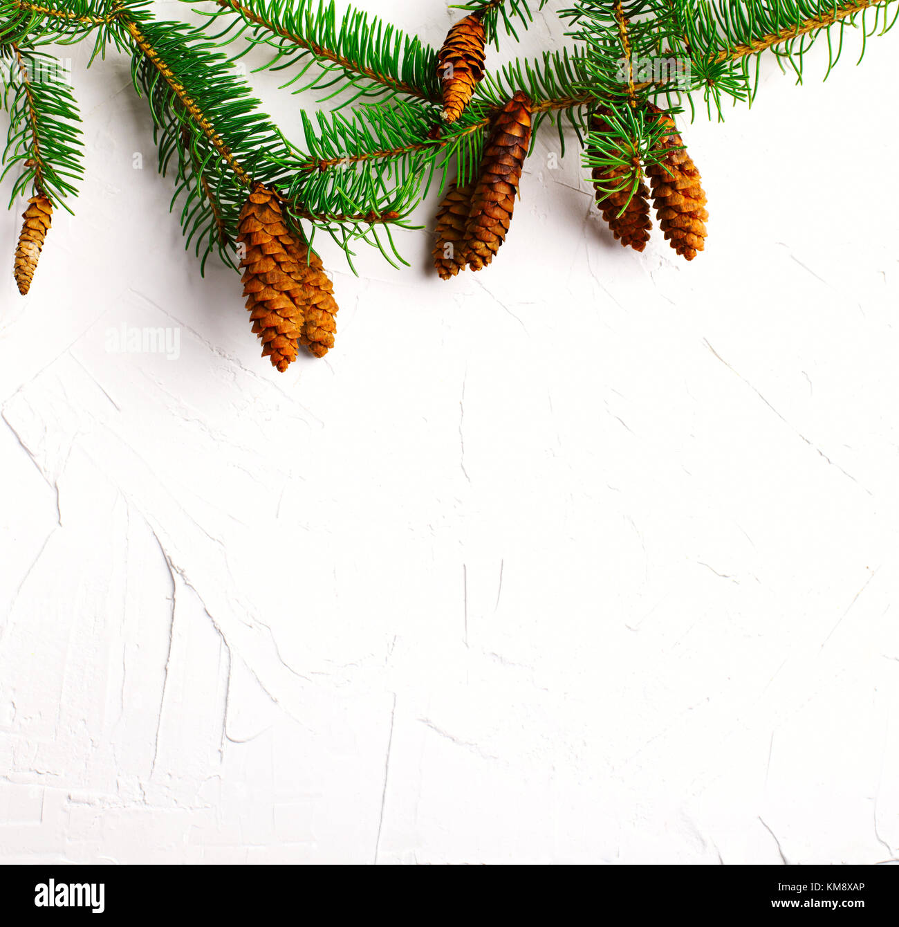 Christmas background with fir tree branches and pine cones on white ...