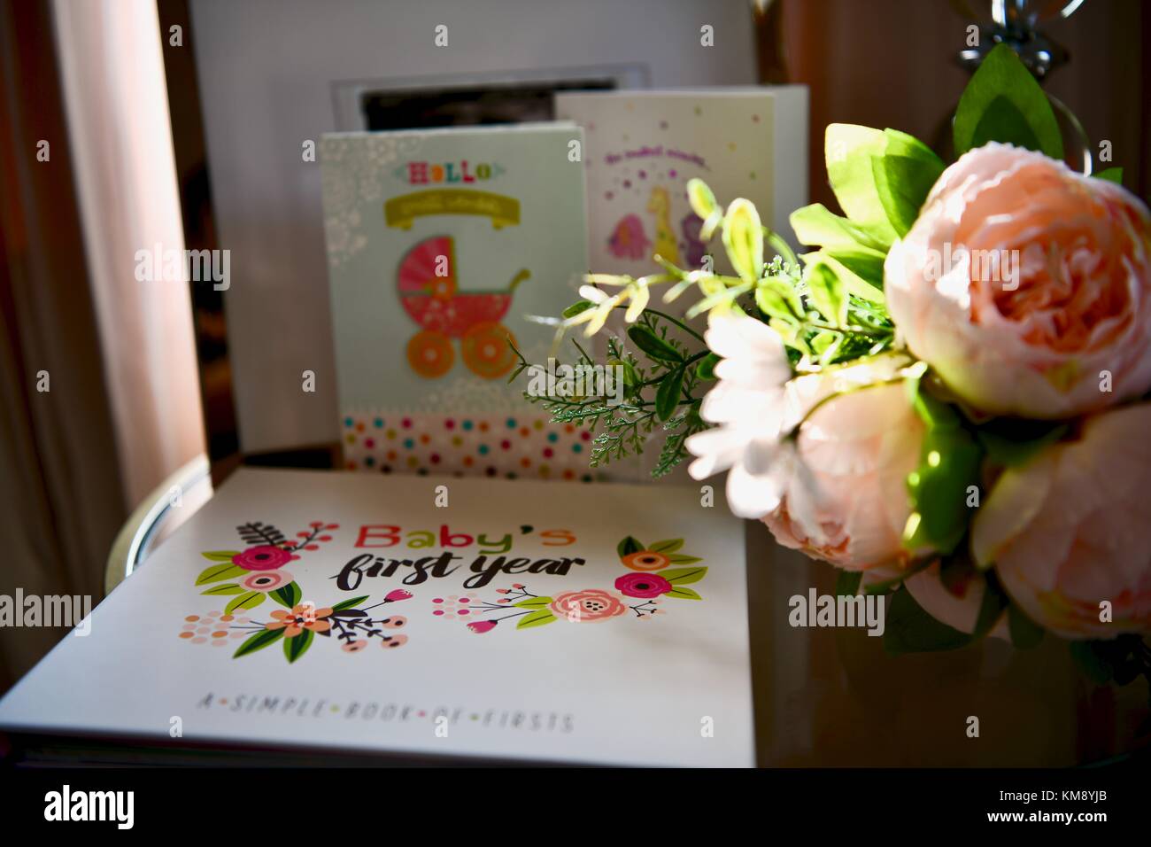 Baby's first year book Stock Photo Alamy