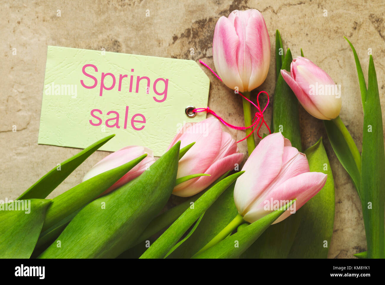Springtime background with pink tulips and tag with text Spring Sale ...