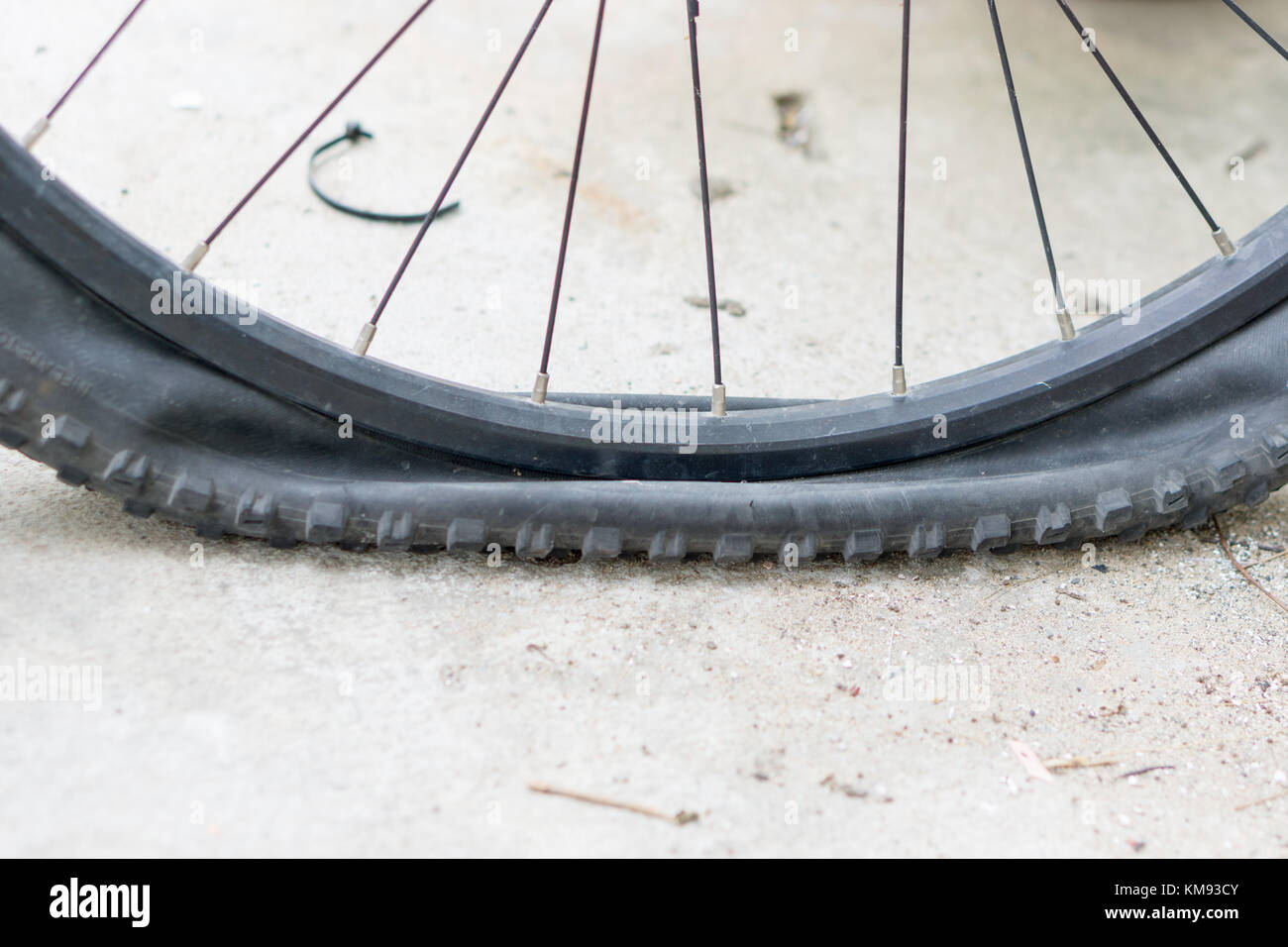 Closeup view of bicycle flat tire on pavement Stock Photo Alamy