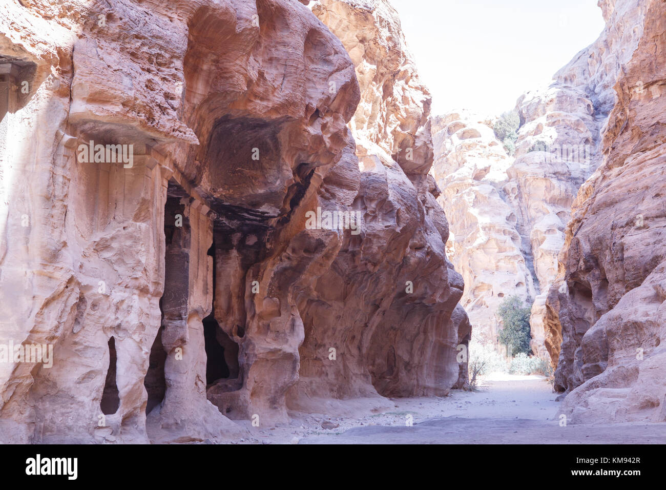 Jordan trail petra hi-res stock photography and images - Alamy