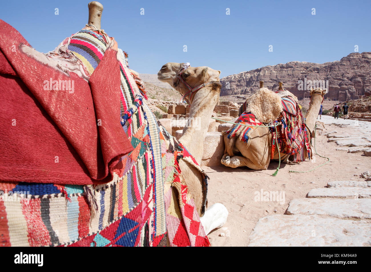 Petra, UNESCO World Heritage Site, Jordan, Middle East Stock Photo