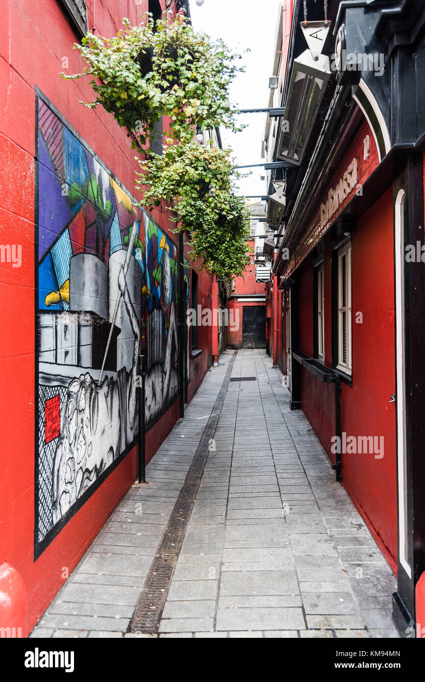 Oliver Plunkett street in Cork Stock Photo Alamy