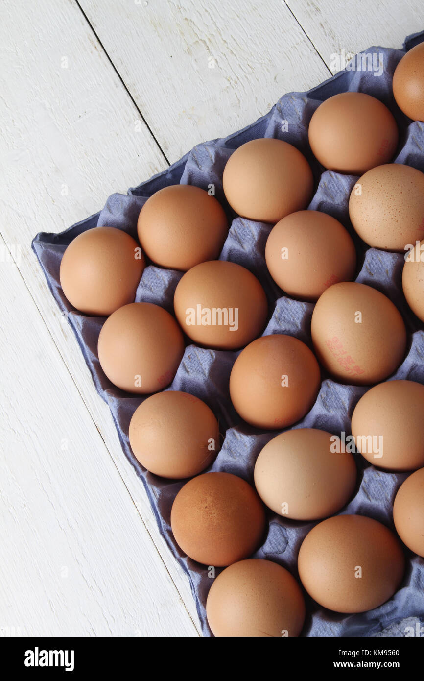 fresh eggs in tray Stock Photo Alamy