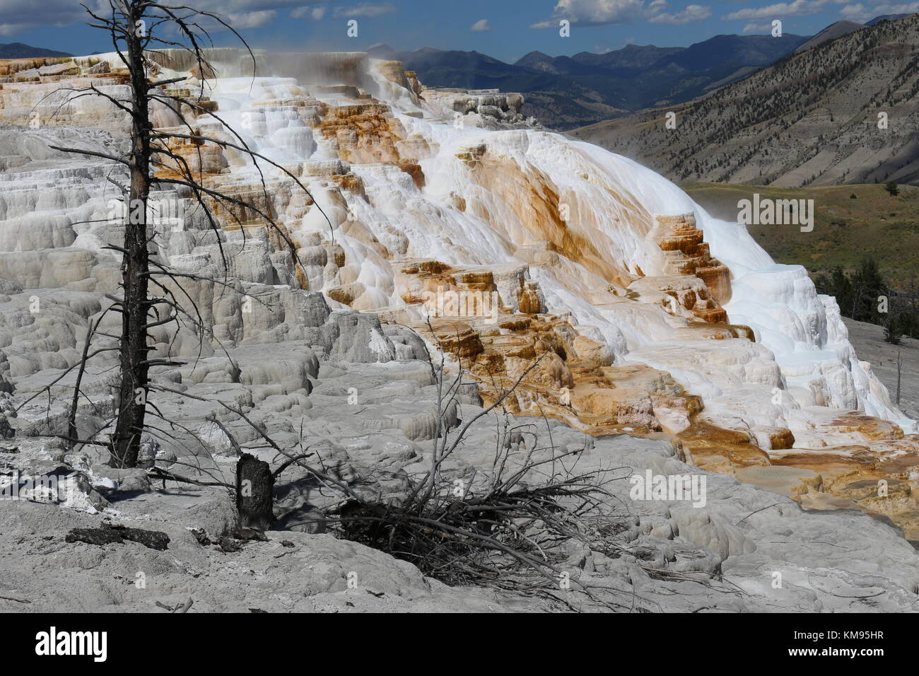Out of this world Stock Photo - Alamy