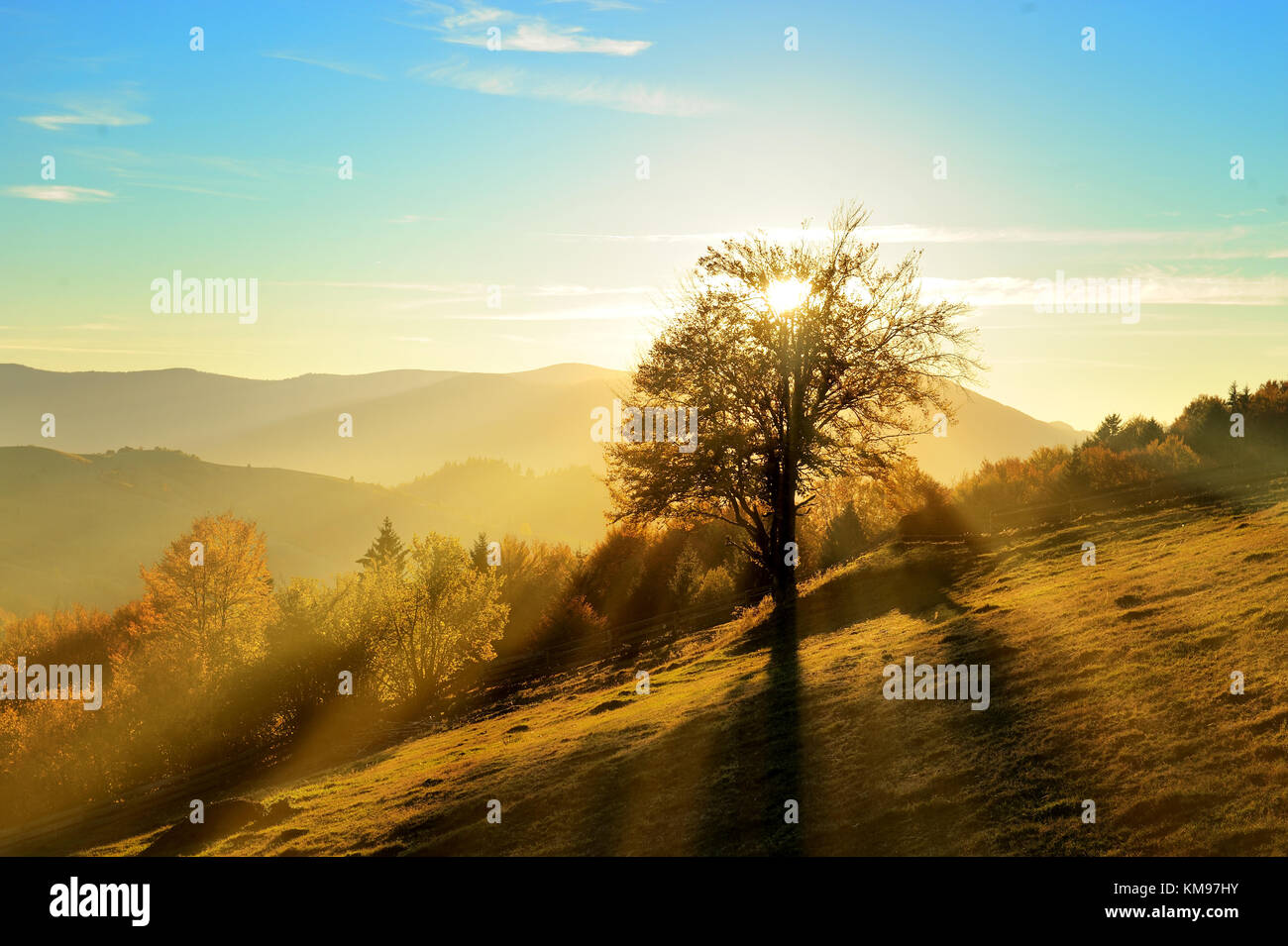 Mountain autumn landscape with colorful forest Stock Photo - Alamy