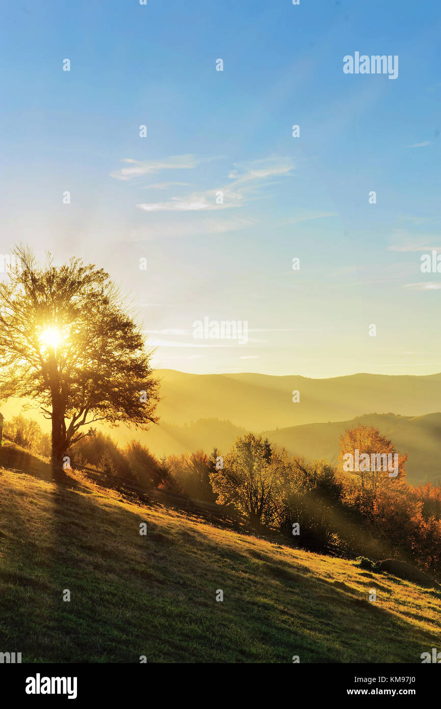Mountain autumn landscape with colorful forest Stock Photo - Alamy