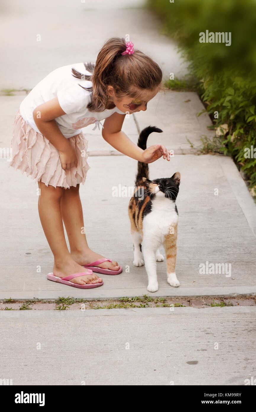 Little girl petting a cat Stock Photo Alamy