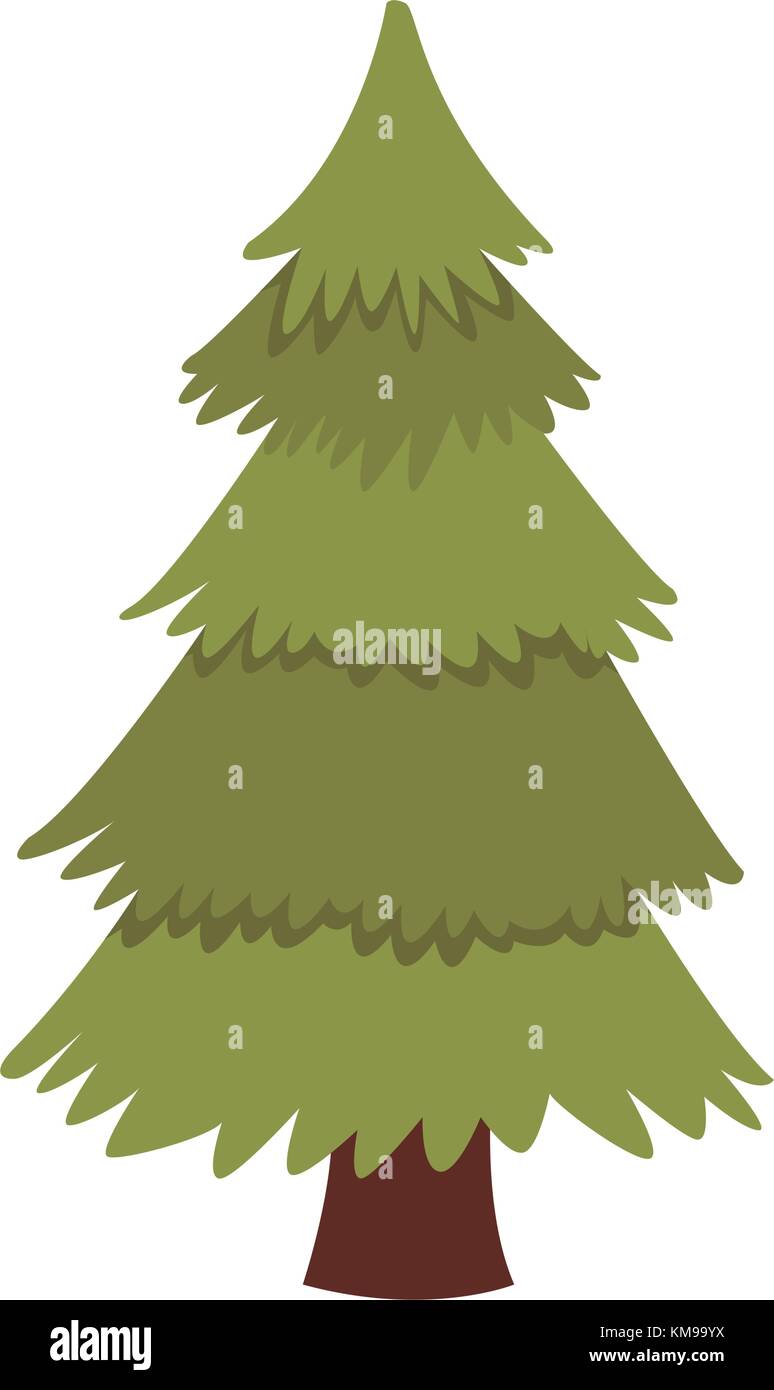 Tree pine isolated Stock Vector Image & Art - Alamy