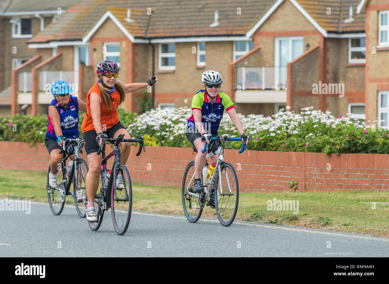 Women riding bicycles giving hand signals before turning on a road in the UK. Stock Photo