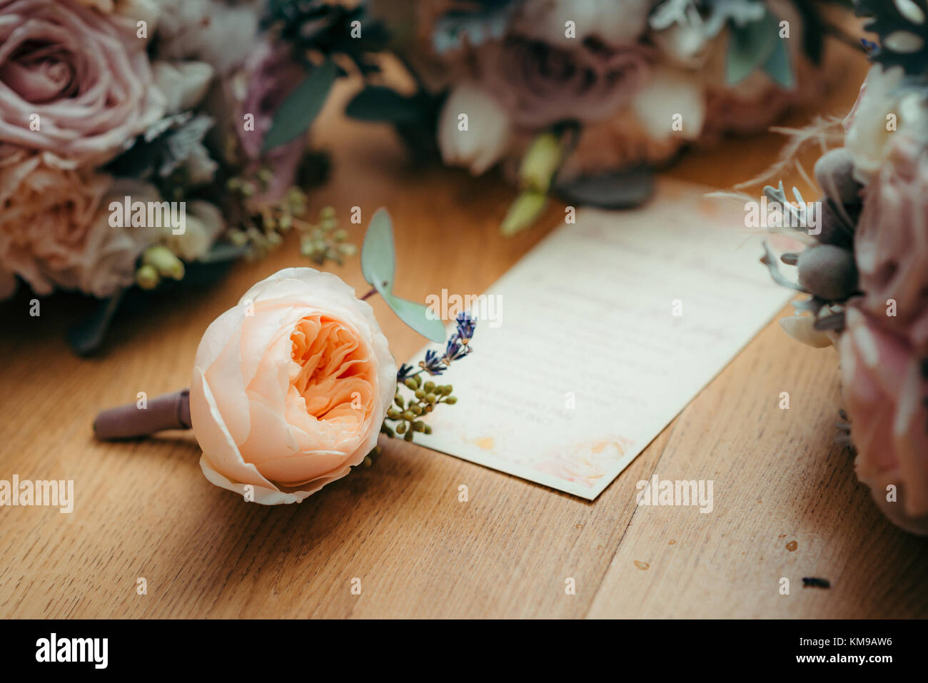 Florish composition. The tender light orange rose is lying on the postcard surrounded by amount of roses. Horizontal view. Stock Photo