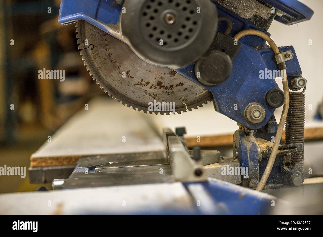 Circular Saw