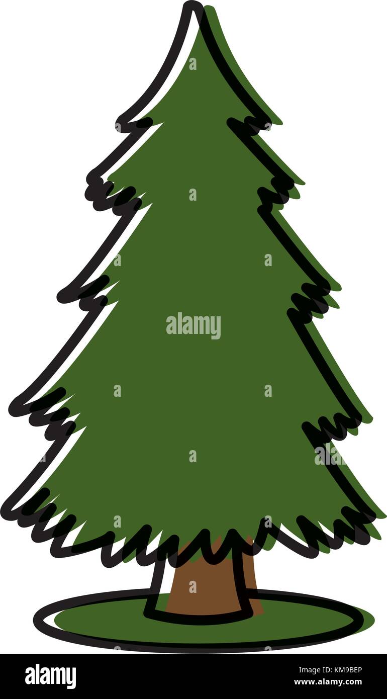 Tree pine isolated Stock Vector Image & Art - Alamy