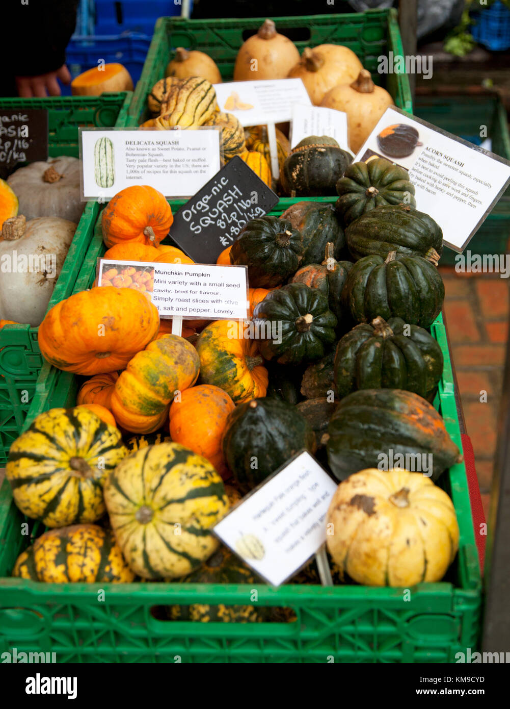 Crates of organic pumpkins and squash at the award winning Farmers