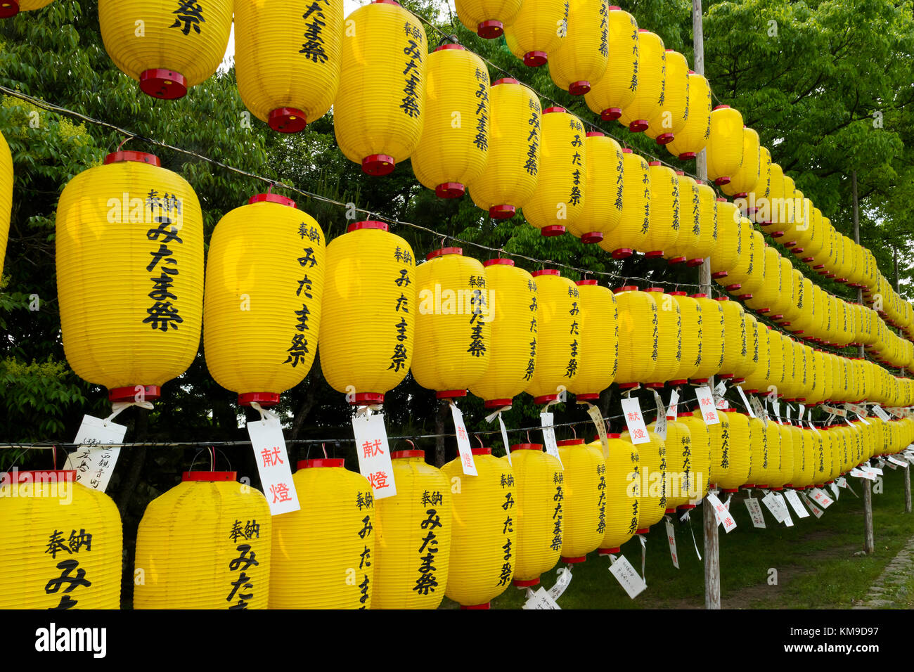 Hiroshima Japan May 25 17 Yellow Lanterns With The Names Of Stock Photo Alamy