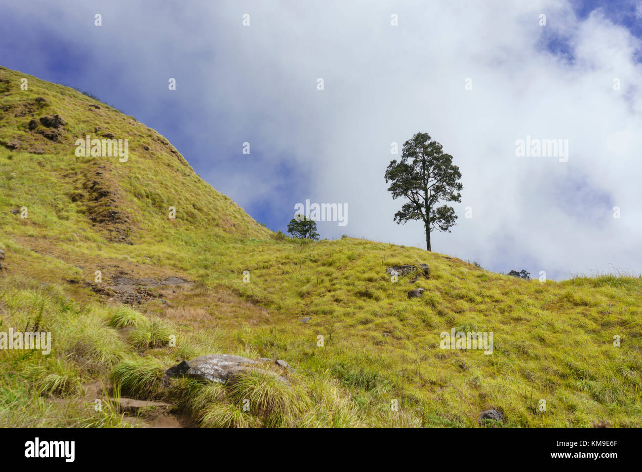 Rural landscape, Mount Rinjani, Lombok, Indonesia Stock Photo