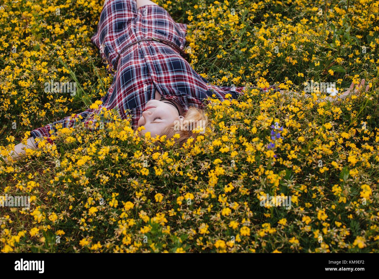 Woman lying in a field of flowers daydreaming Stock Photo - Alamy