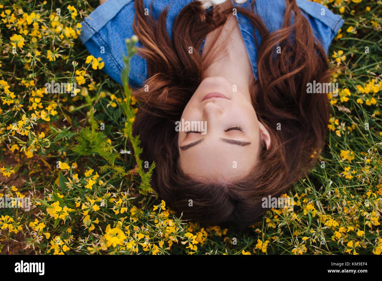 Woman lying in a field of flowers daydreaming Stock Photo - Alamy