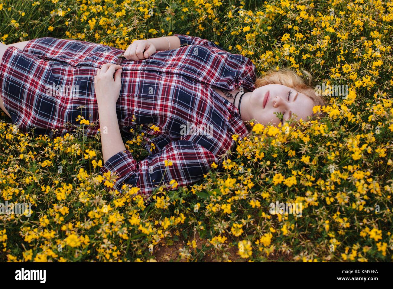 Woman lying in a field of flowers daydreaming Stock Photo - Alamy