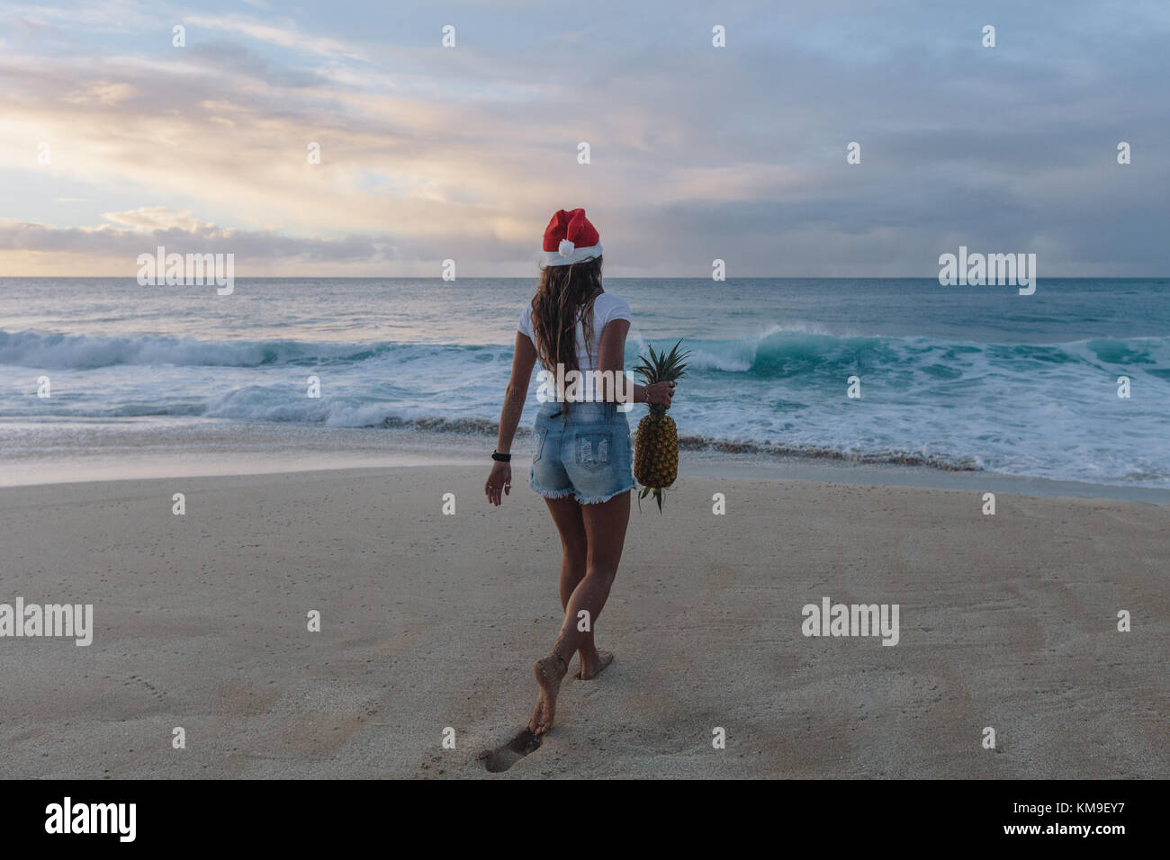 Woman wearing a Christmas Santa hat walking on beach carrying a pineapple, Haleiwa, Hawaii, United States Stock Photo