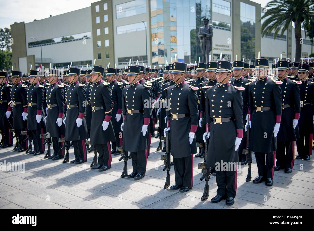The Mexican military honor guard stands in formation during a parade in  honor of U.S. Defense Secretary James Mattis and Mexican National Defense  Secretary Salvador Cienfuegos Zepeda September 15, 2017 in Mexico