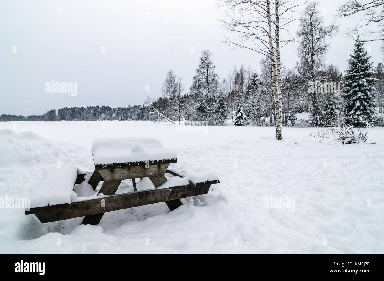 Wooden bench and table covered of snow in a snowy forest landscape ...