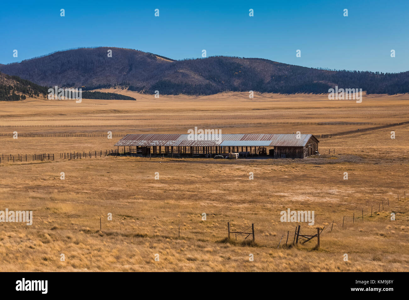 Barn nestled in the grasslands of Valles Caldera National Preserve, a preserve run by the National Park Service, New Mexico, USA Stock Photo