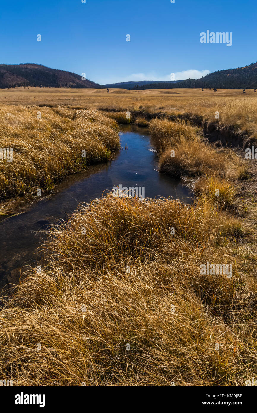 San Antonio Creek running through the vast grasslands of Valles Caldera National Preserve, a National Park Service preserve, with smoke rising from a  Stock Photo