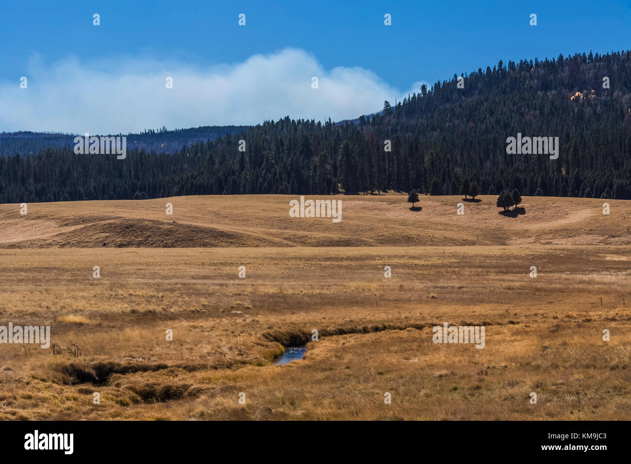 Vast grasslands in Valles Caldera National Preserve, a preserve run by the National Park Service, with smoke rising from a prescribed burn in the dist Stock Photo