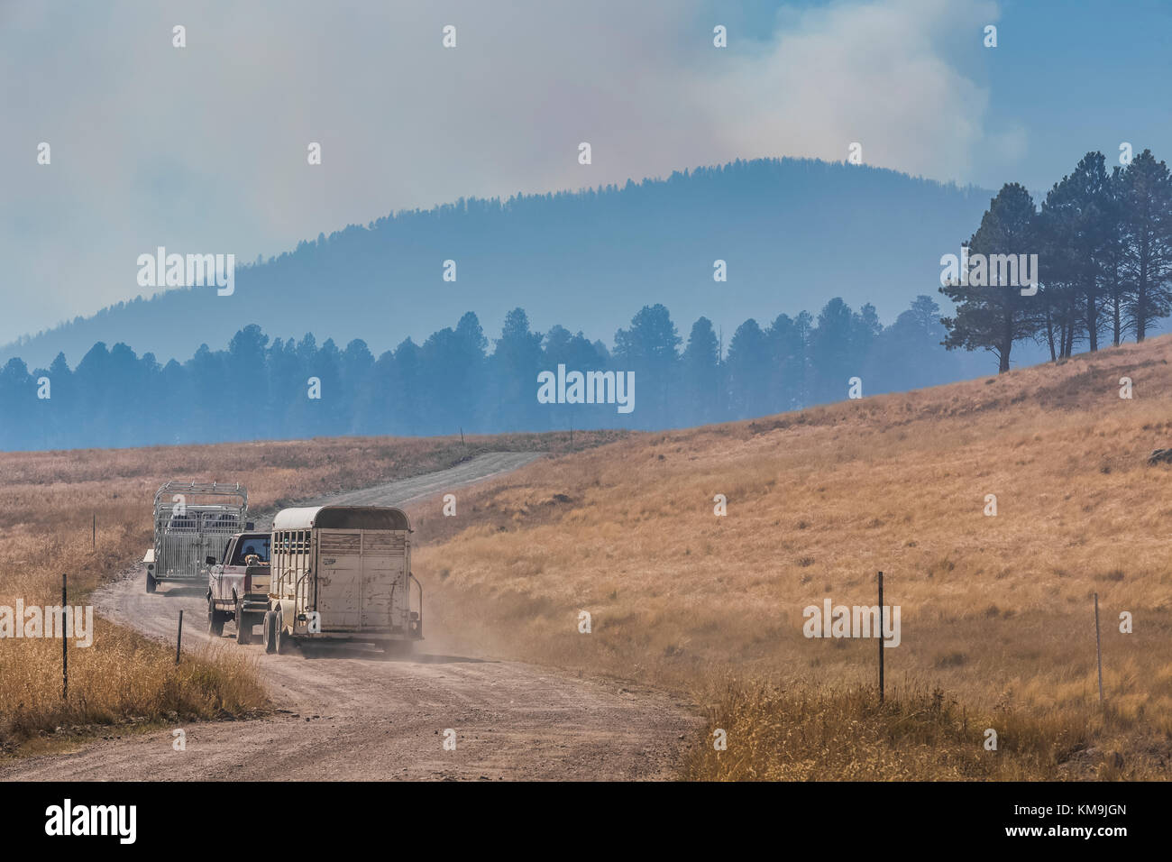 Ranch vehicles traveling through the smoky air from a prescribed burn in Valles Caldera National Preserve, a preserve run by the National Park Service Stock Photo