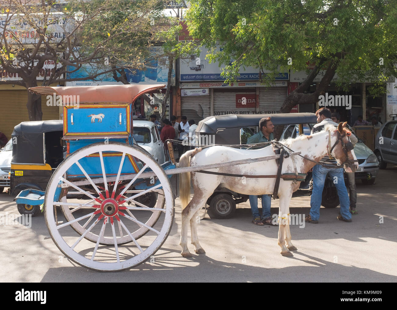 Horse drawn taxi, Mysore, India. Stock Photo