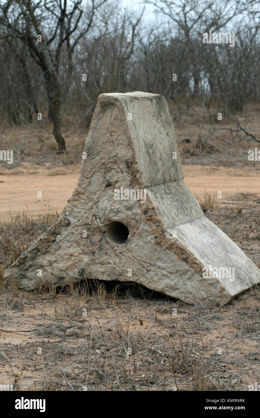 Kruger National Park, picture of an irregular shaped concrete block used for flood control, Marloth Park Stock Photo