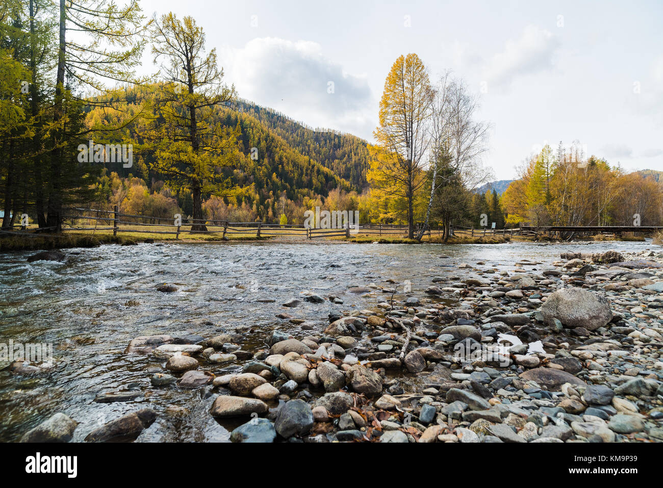 Autumn Mountain Landscape Mountain River In The Background Of The