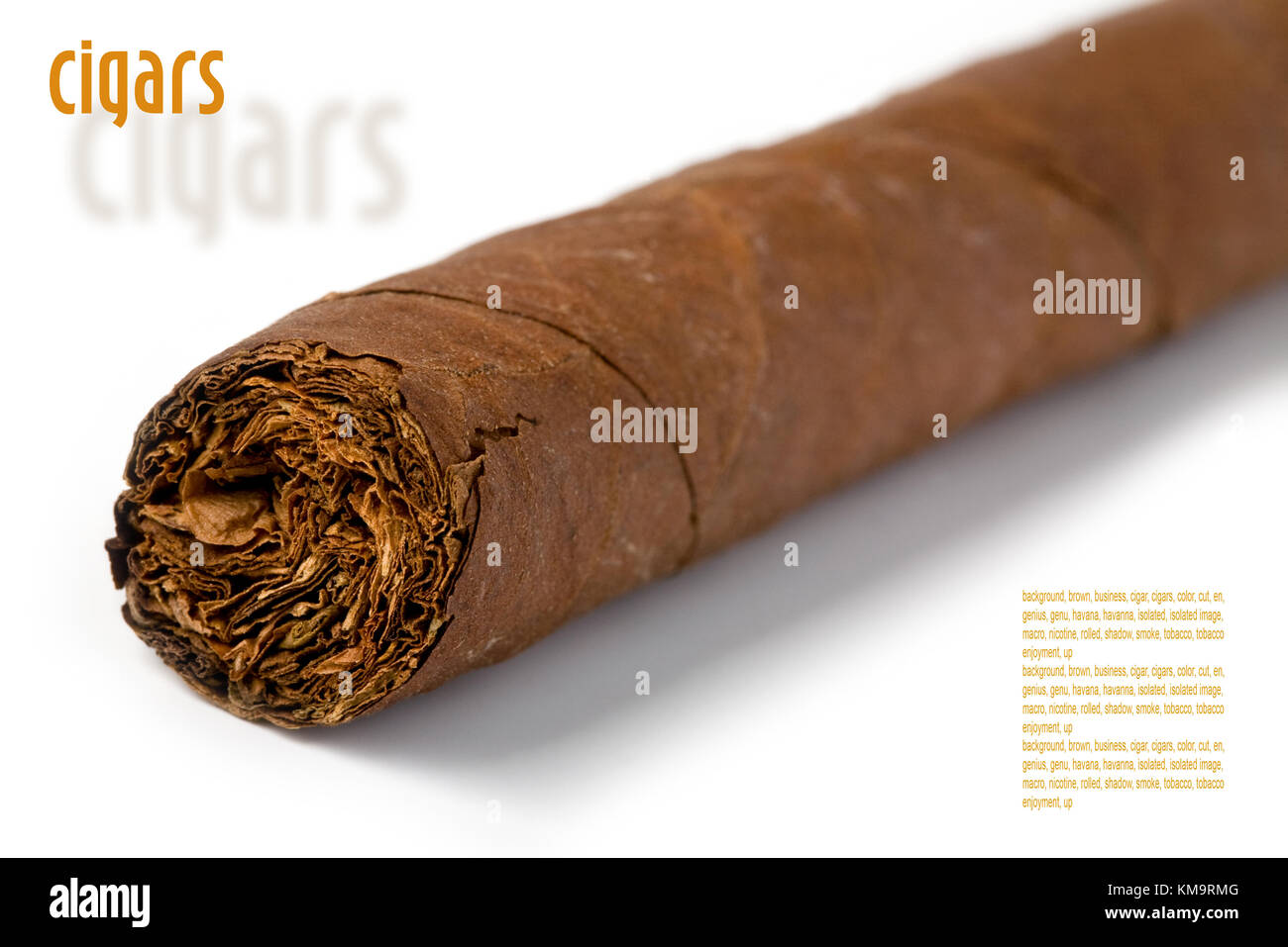 Havana cigars hi-res stock photography and images - Page 31 - Alamy