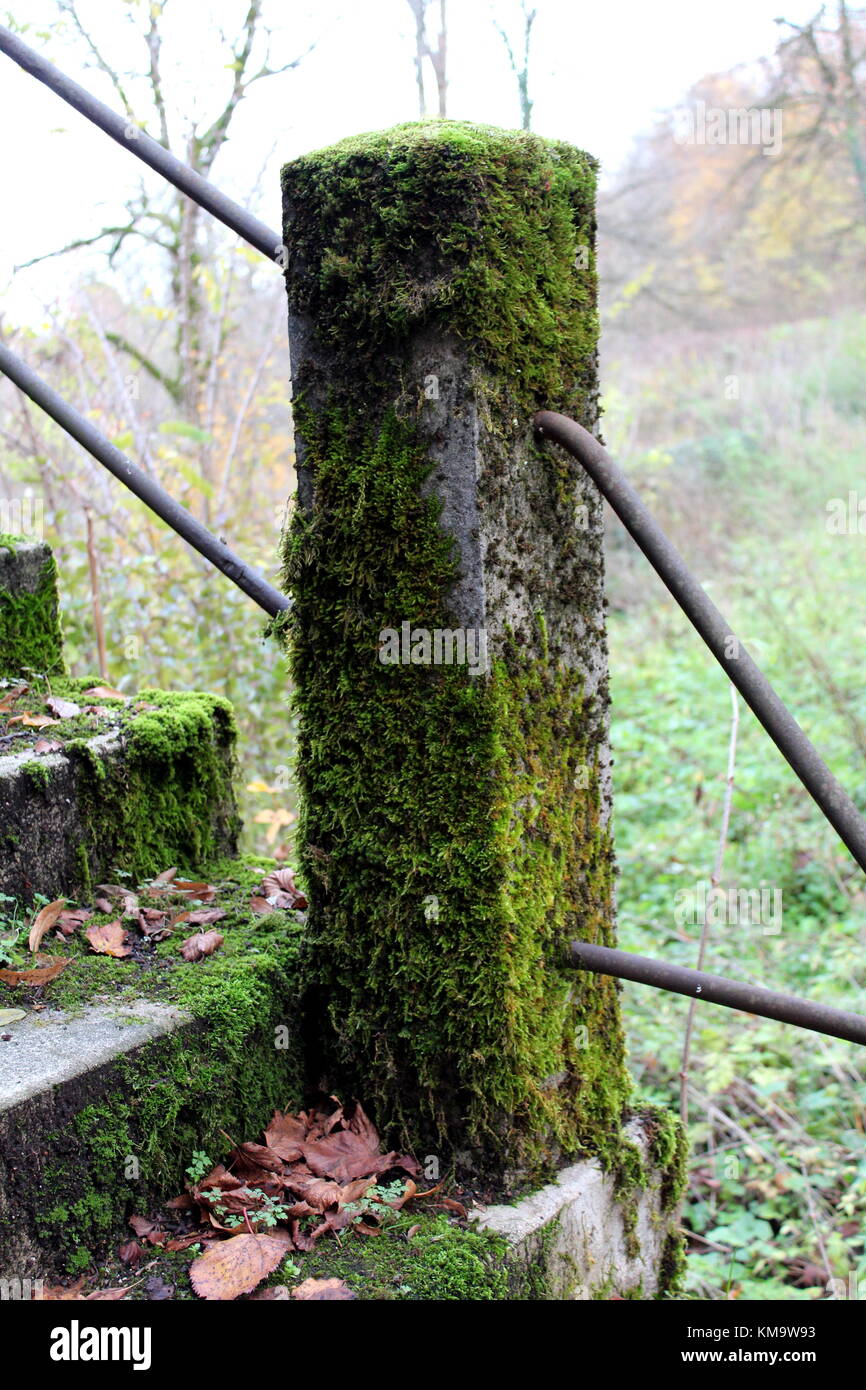 Overgrown Stone Fence Pole Covered Almost Completely With Moss With Two Thick Metal Pipes Connecting It To Other Poles And Overgrown Stone Steps On Co Stock Photo Alamy