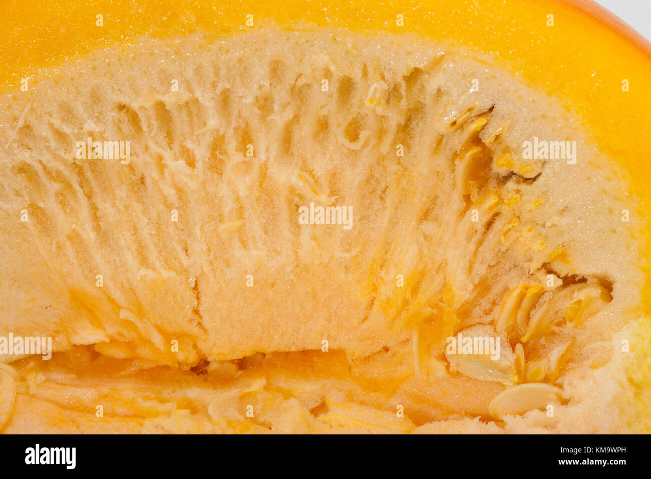 Fresh orange pumpkin isolated on white background Stock Photo - Alamy