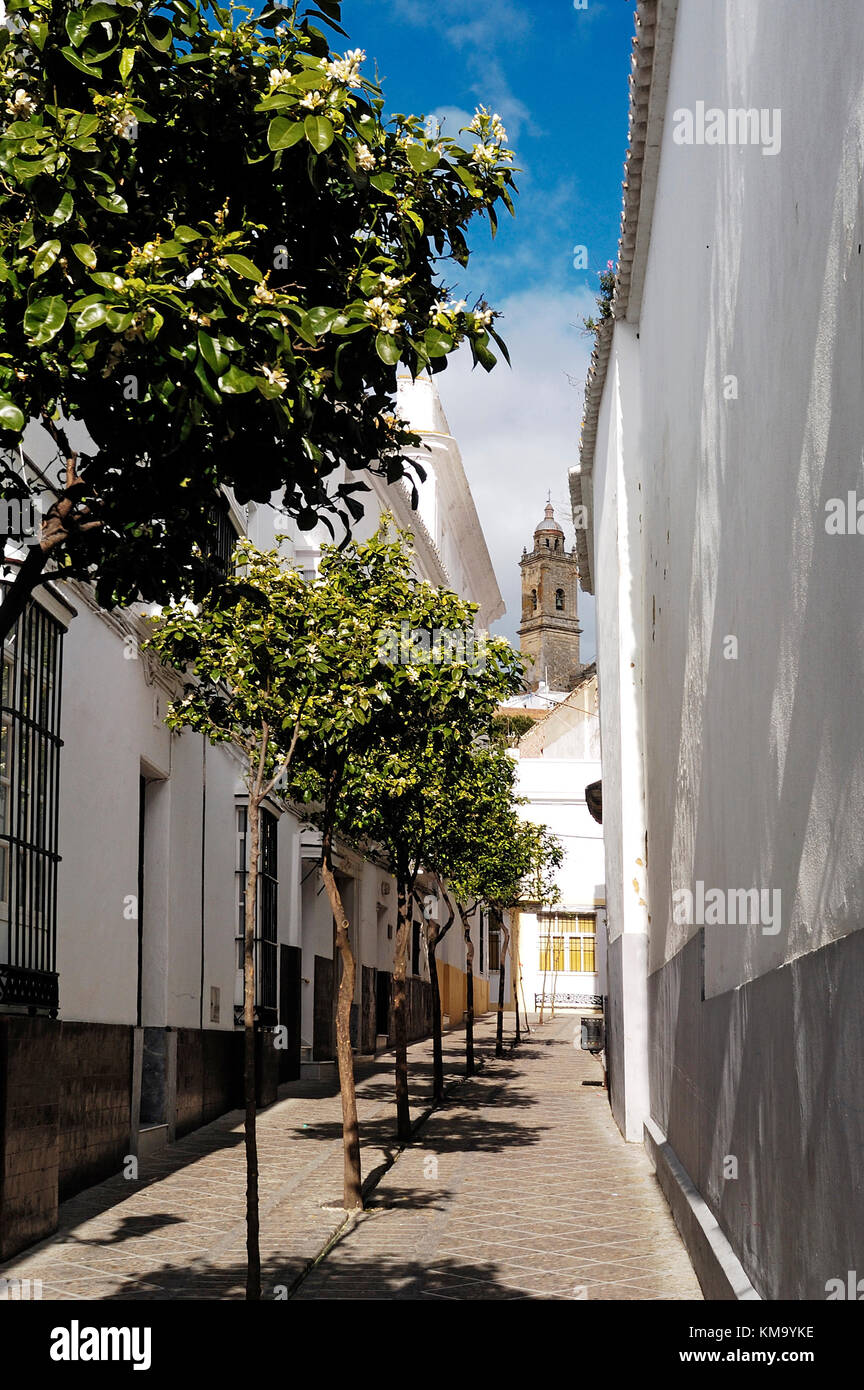 White houses with church in the background in Medina Sidonia, Cadiz