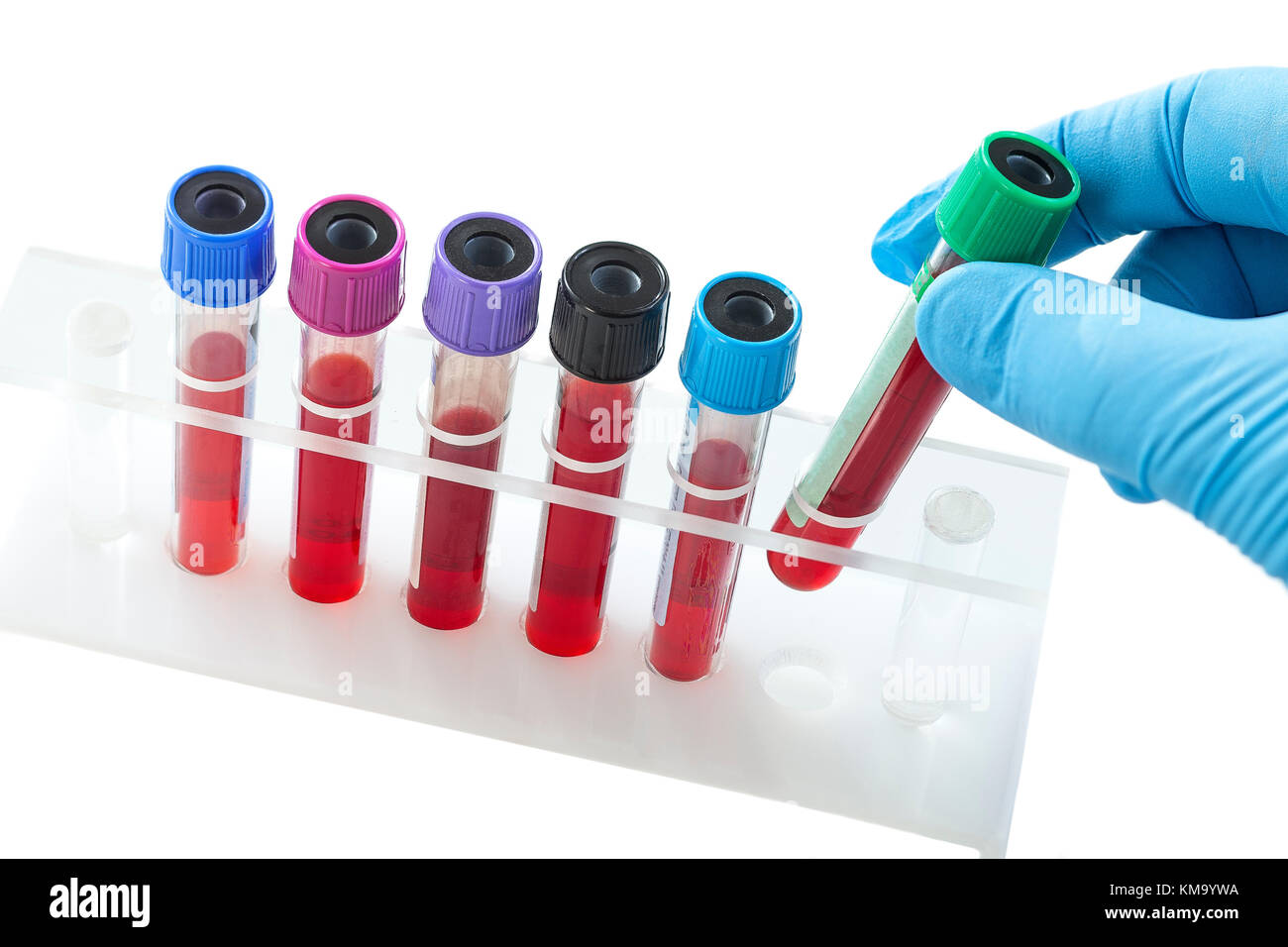 rack of blood test on white support on white bacground Stock Photo