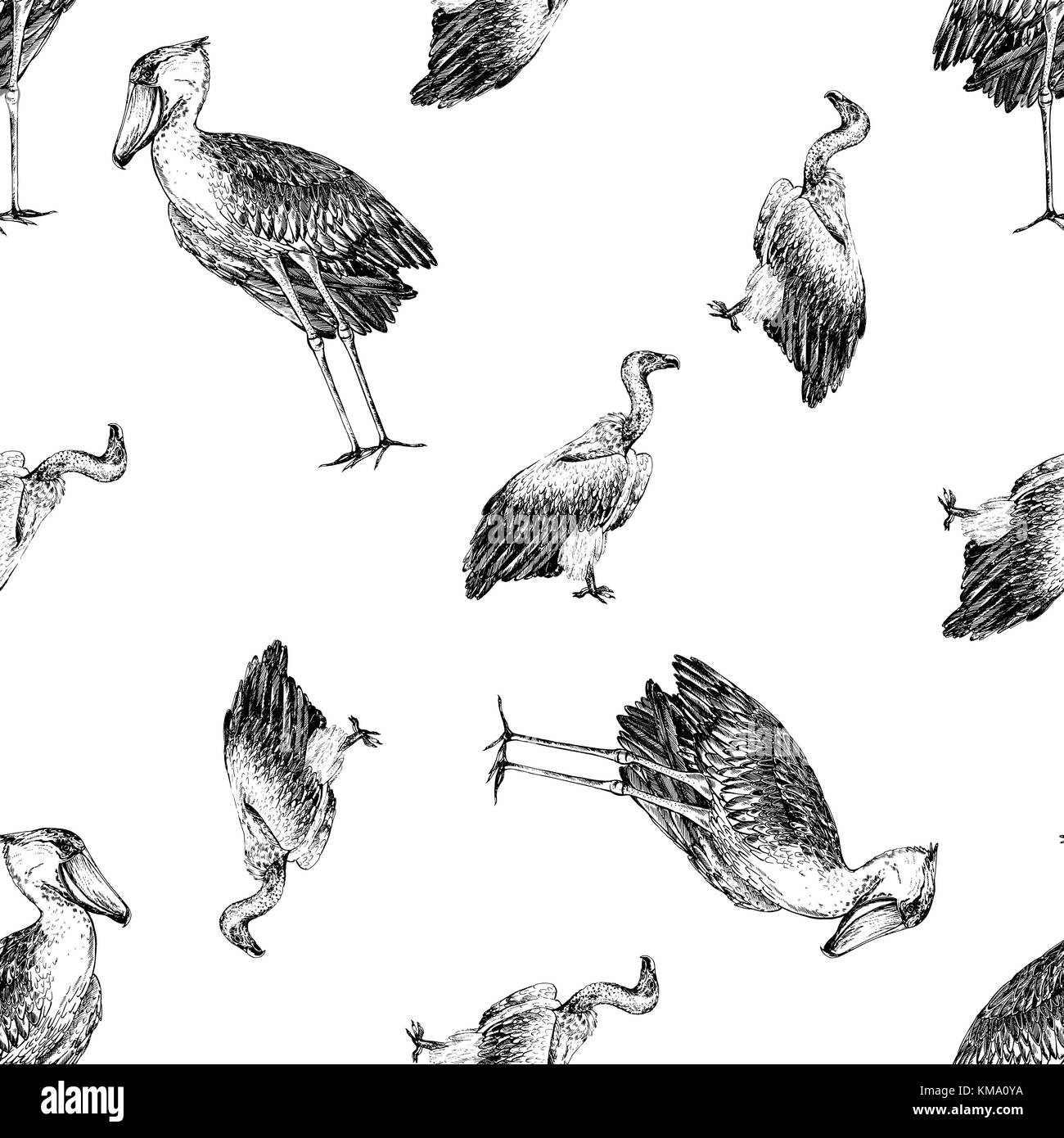 Seamless pattern of hand drawn sketch style shoebill and African vulture. Vector illustration isolated on white background. Stock Vector