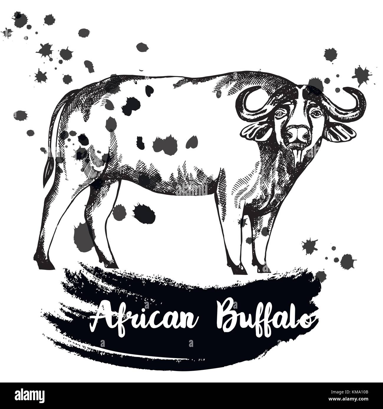Hand drawn sketch style African buffalo. Vector illustration isolated ...