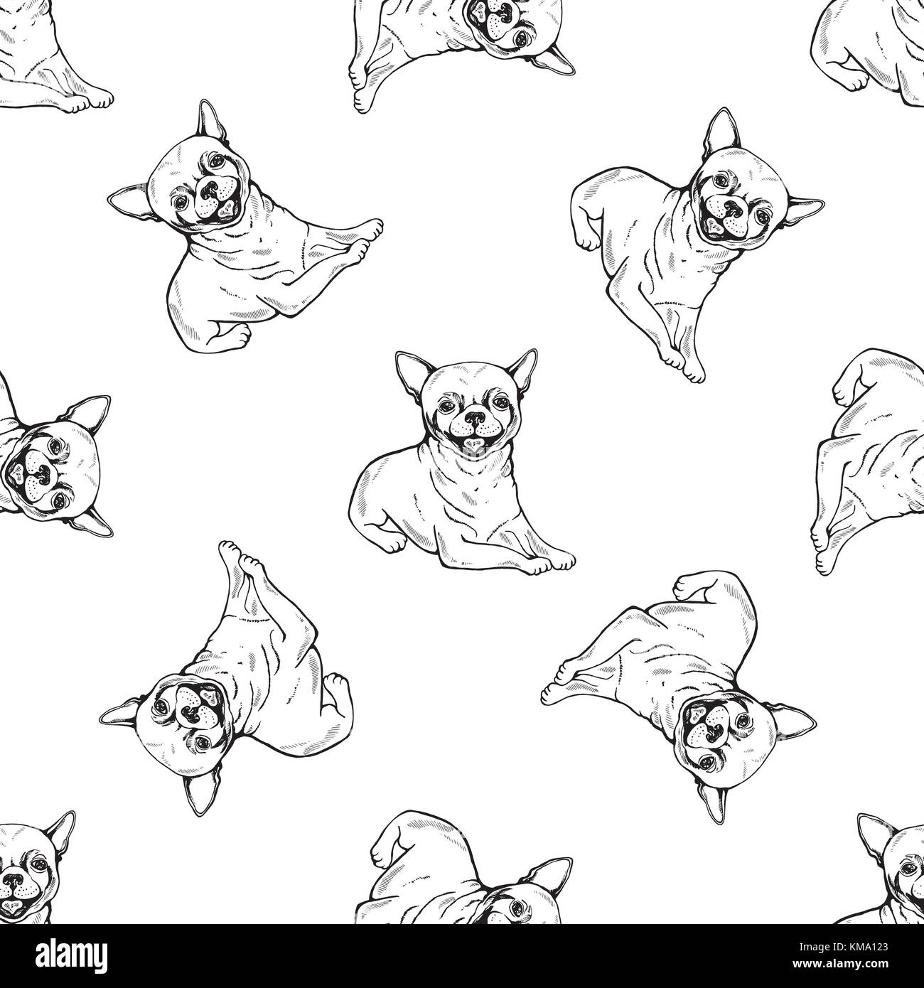 Seamless pattern of hand drawn sketch style chihuahua. Vector illustration isolated on white background. Stock Vector