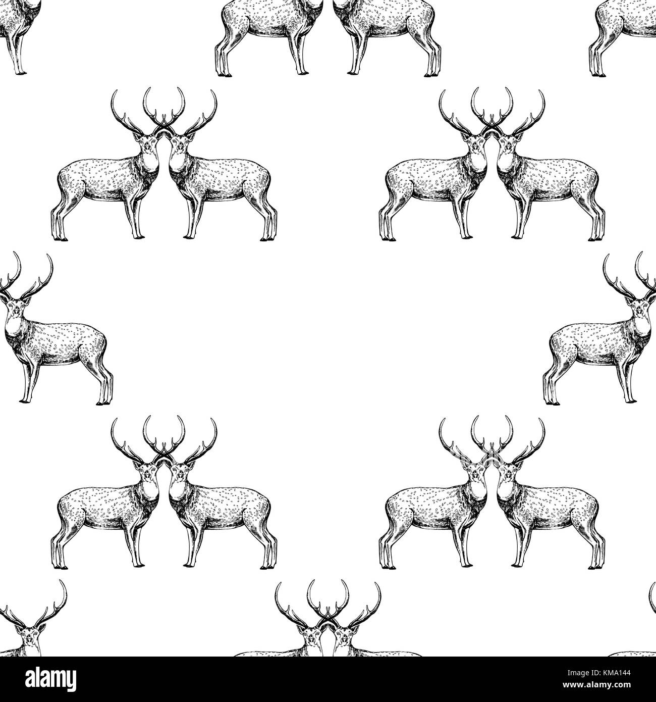 Spotted deer print texture background Royalty Free Vector