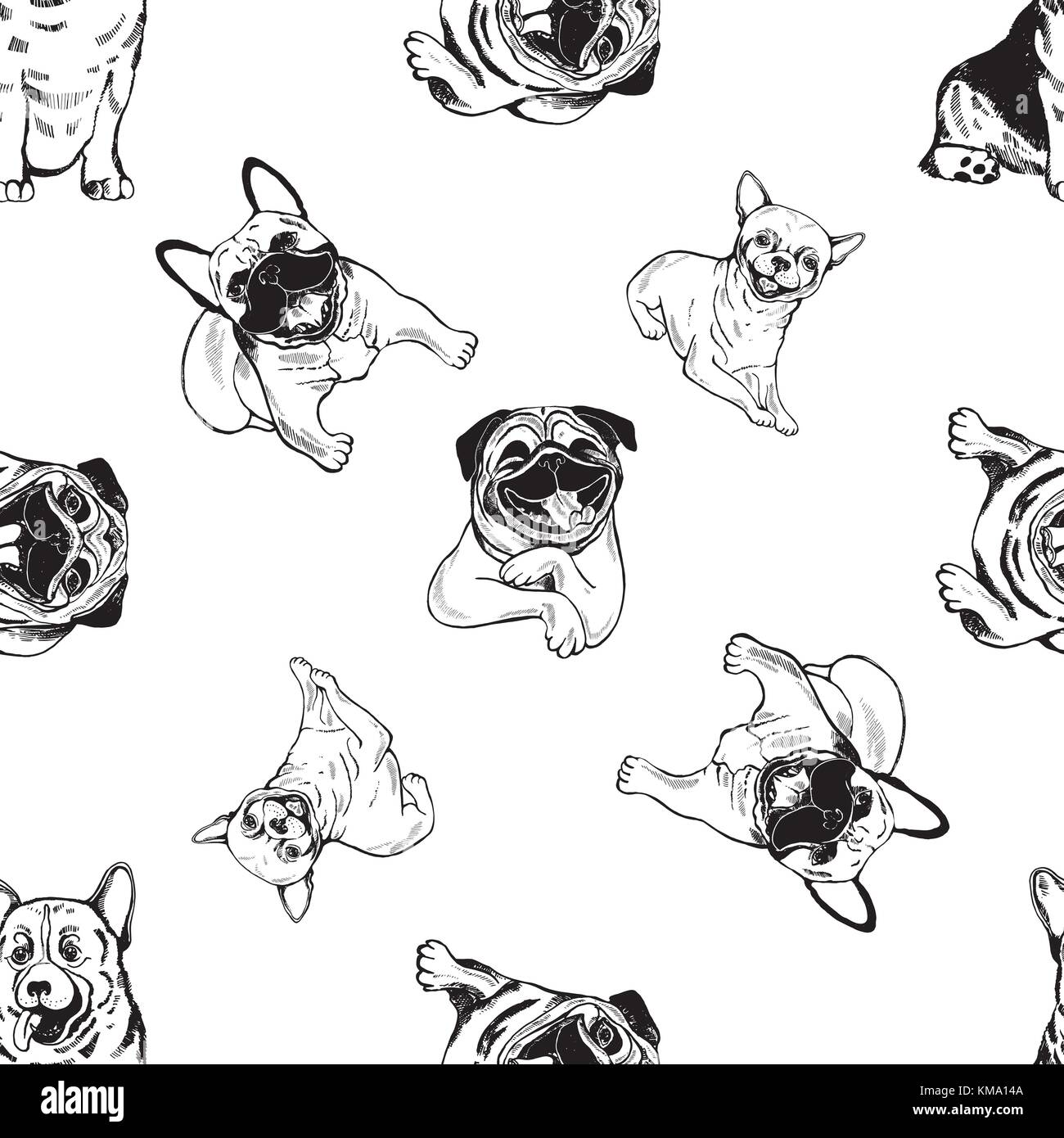 Seamless pattern of hand drawn sketch style dogs. Vector illustration isolated on white background. Stock Vector