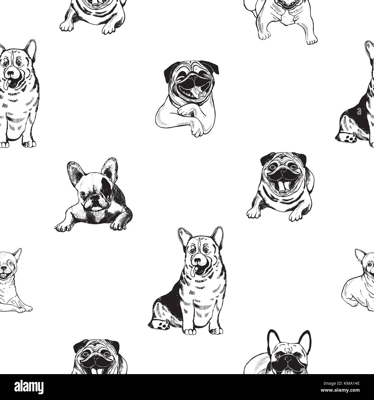 Seamless pattern of hand drawn sketch style dogs. Vector illustration ...