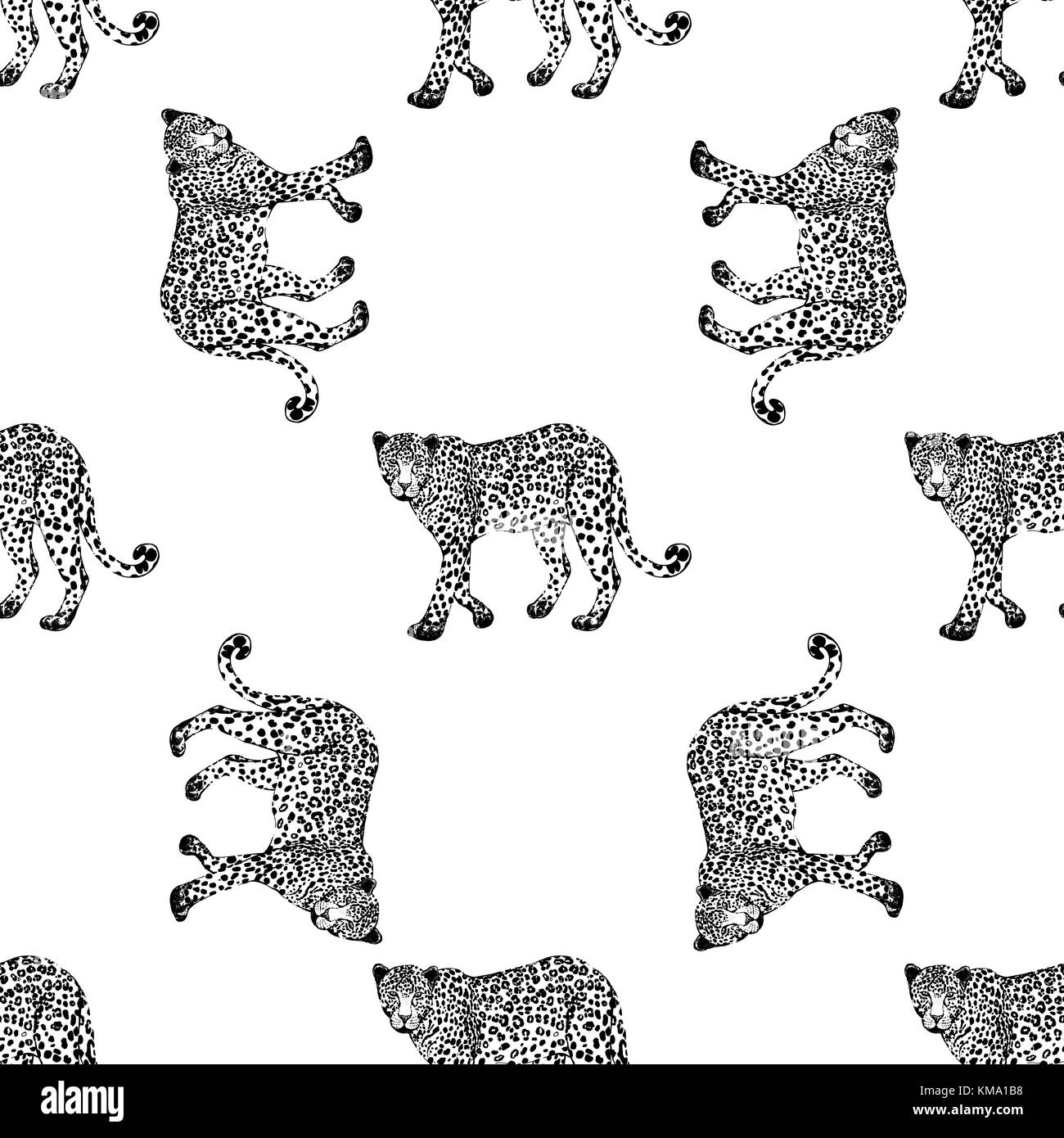 Seamless pattern of hand drawn sketch style leopards. Vector ...