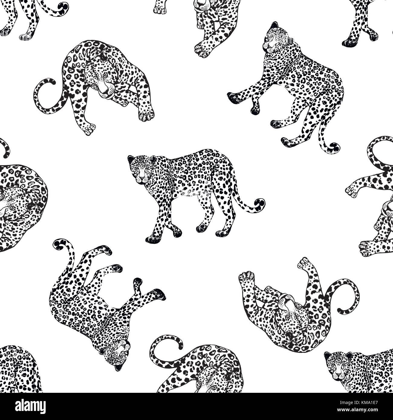 Seamless pattern of sketch style leopards. Vector illustration isolated ...