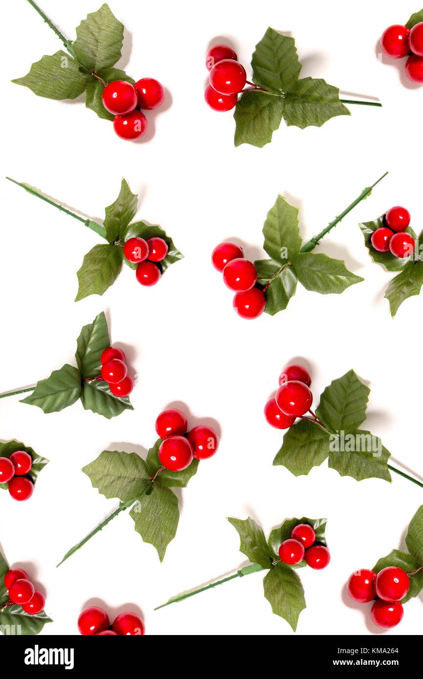 Different Christmas berry branches isolated on a white background. Stock Photo