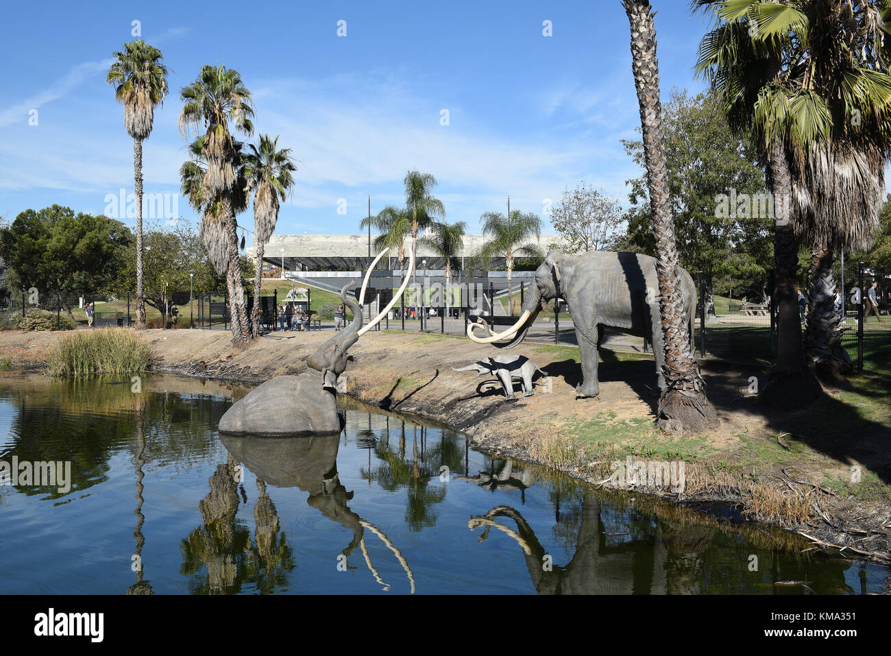 LOS ANGELES - NOVEMBER 24, 2017: Lake Pit at the La Brea Tar Pits.  Pleistocene mammoth statues depict how animals became trapped in the tar. Stock Photo