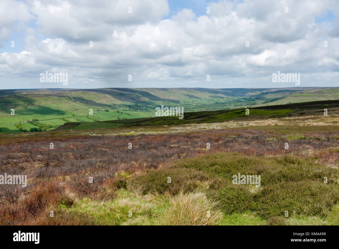 north yorkshire moors wilderness yorkshire landscape heather Stock Photo